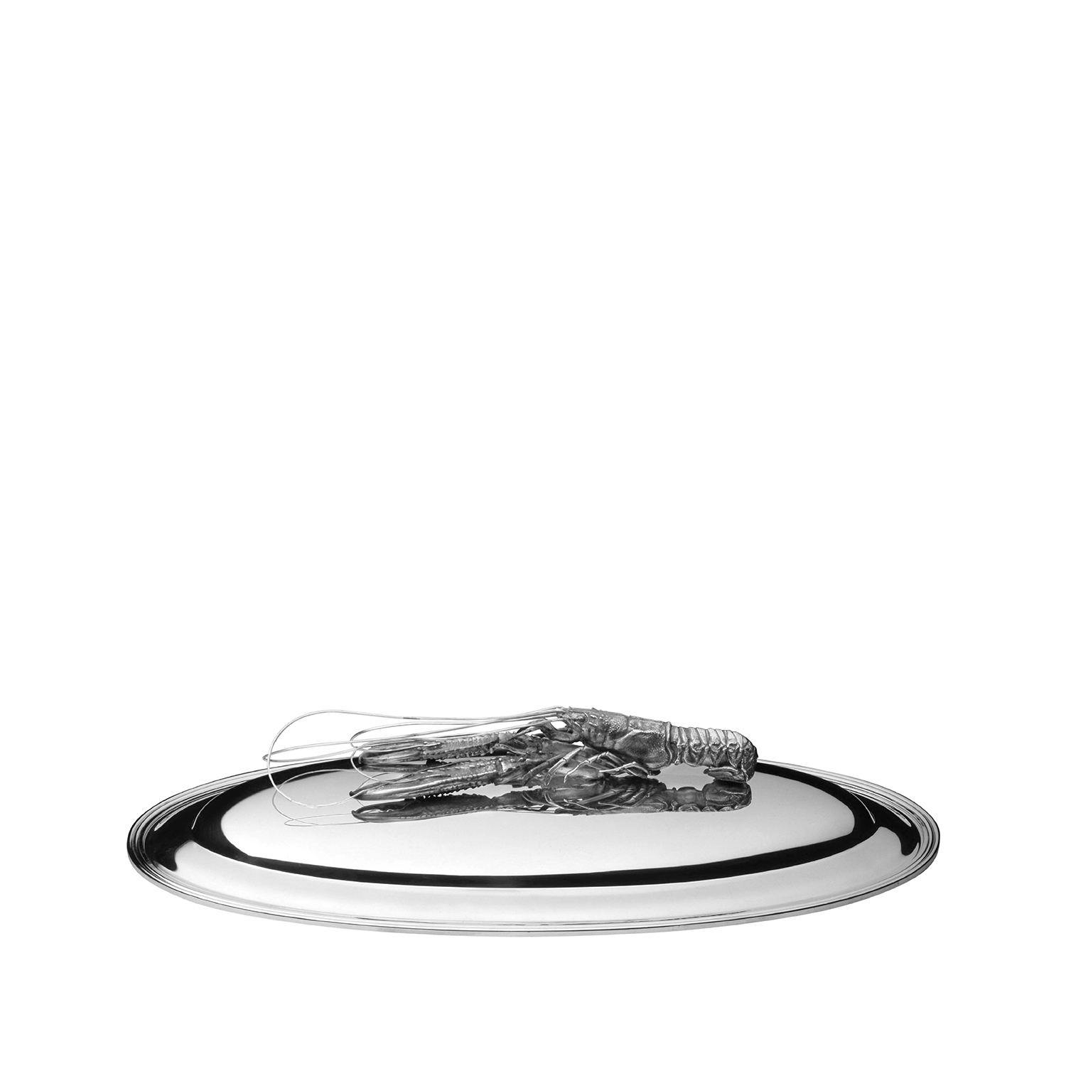 Pescera con coperchio