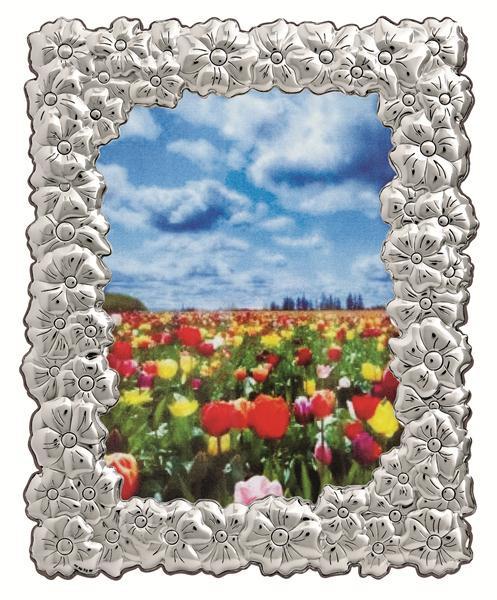 56012092.jpg Cornice Fiori 20 x 25
